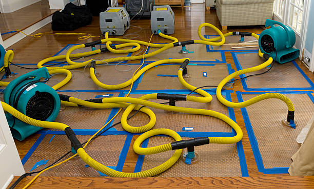 Professional Water Damage Repair technician working in Fairfax, OK